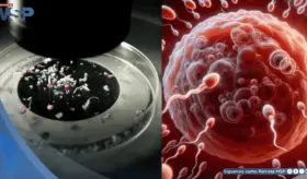 Estudio revela presencia de microplásticos en semen y ovarios: ¿Estaría en riesgo la fertilidad?