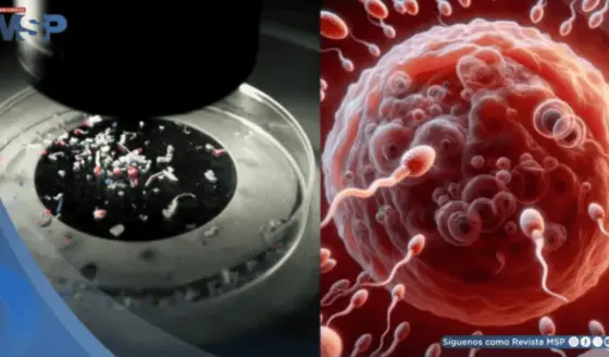 Estudio revela presencia de microplásticos en semen y ovarios: ¿Estaría en riesgo la fertilidad?
