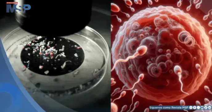 Estudio revela presencia de microplásticos en semen y ovarios: ¿Estaría en riesgo la fertilidad?