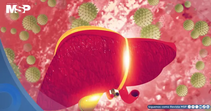 Hepatitis C: la infección silenciosa que puede dañar el hígado por décadas sin dar señales