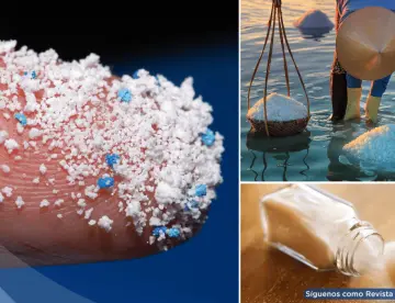 Científicos detectan microplásticos en la sal: llegarían del mar, del aire y terminan en tu cuerpo 