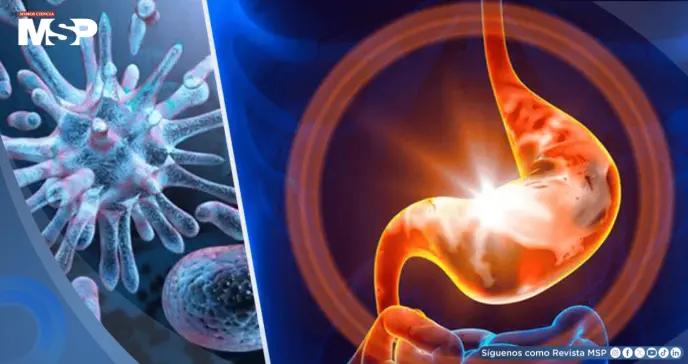 Gastroenteritis: ¿Cómo prevenir la infección que causa diarrea y vómitos?