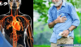 Atletas veteranos enfrentan mayor riesgo de muerte súbita por cicatrices cardíacas, según estudio