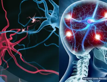 Científicos desarrollan nanocuerpos para tratar los síntomas más resistentes de la esquizofrenia
