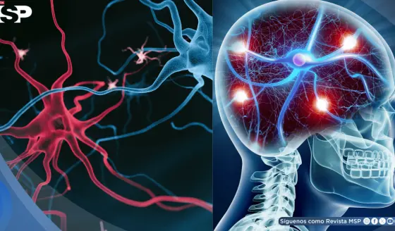 Científicos desarrollan nanocuerpos para tratar los síntomas más resistentes de la esquizofrenia