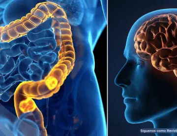 Los ritmos circadianos alterados aumentan el riesgo de cáncer colorrectal, revela estudio