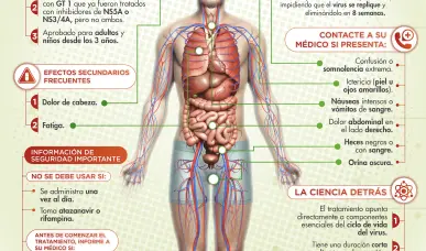 As&iacute; funciona el tratamiento oral para la Hepatitis C