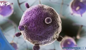 Crean una bacteria que mejora el metabolismo sin necesidad de restricciones alimentarias