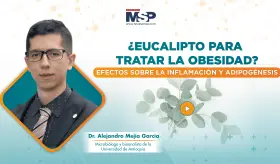 ¿Eucalipto para la obesidad? Efectos sobre la inflamación y la adipogénesis
