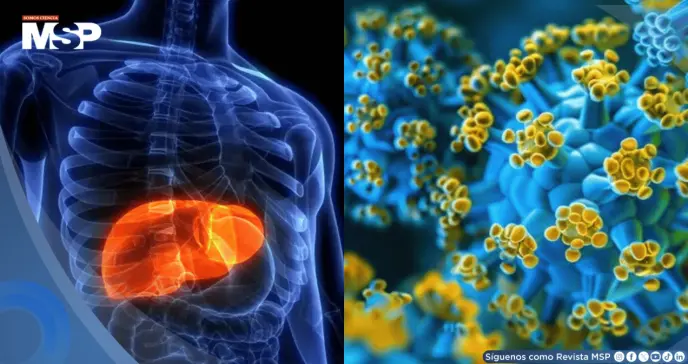 OMS clasifica la hepatitis D como cancerígena: Esto es lo que debe saber sobre su transmisión