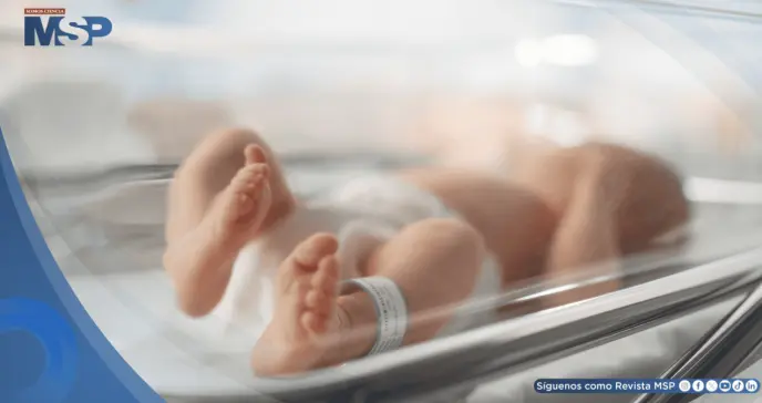 Investigan muertes neonatales en Guayaquil por posible brote de bacteria multirresistente