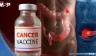 Vacuna experimental logra potente respuesta inmune contra mutaciones en cáncer de páncreas y colorrectal