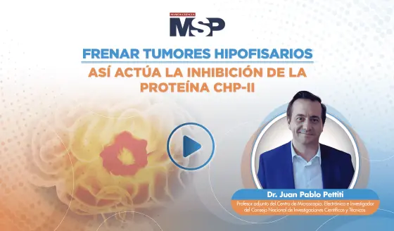 Frenar tumores hipofisarios: Así actúa la inhibición de la proteína CHP-II