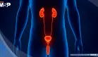 Erecciones nocturnas dolorosas: ¿Por qué ocurren y cuándo buscar ayuda médica?