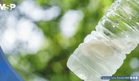 ¿Es seguro beber de una botella de plástico olvidada en el auto bajo el sol?