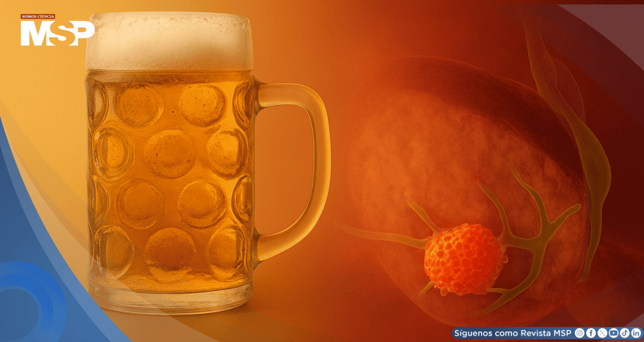 Consumo diario de alcohol eleva hasta en un 15% el riesgo de cáncer de páncreas, según estudio