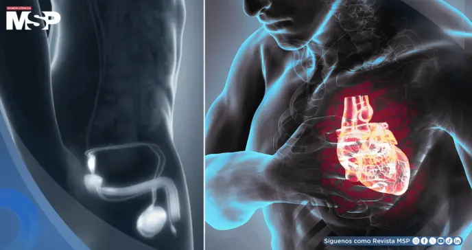 ¿Disfunción eréctil? Podría ser un signo temprano de una enfermedad cardiovascular