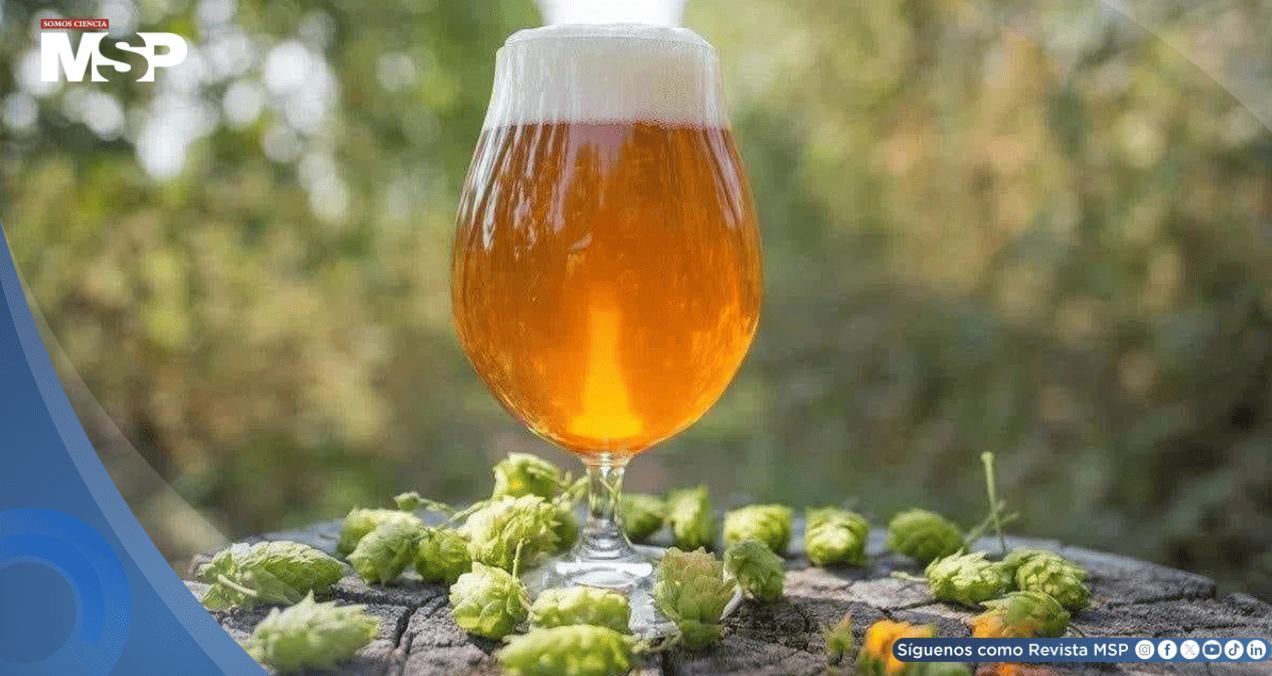 Lúpulo de la cerveza muestra propiedades antimicrobianas y potencial para regular la glucosa en sangre