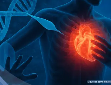 Científicos reactivan un gen clave con ARNm para reparar el corazón tras un infarto