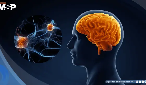 Así el cerebro organiza movimientos de las manos para tareas como escribir, cortar y manipular objetos