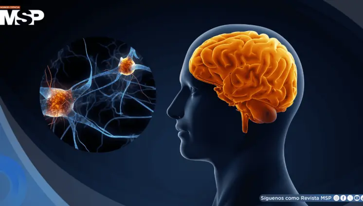 Así el cerebro organiza movimientos de las manos para tareas como escribir, cortar y manipular objetos