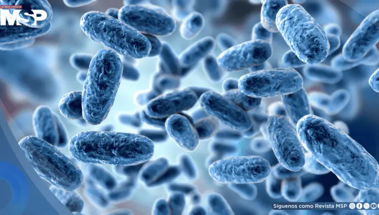 Científicos logran que bacterias descompongan plástico sin modificar su ADN