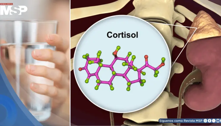 La deshidratación eleva los niveles de cortisol y podría aumentar el estrés, según estudio