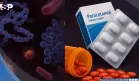 Ibuprofeno y paracetamol podrían favorecer que las bacterias se vuelvan resistentes a los antibióticos