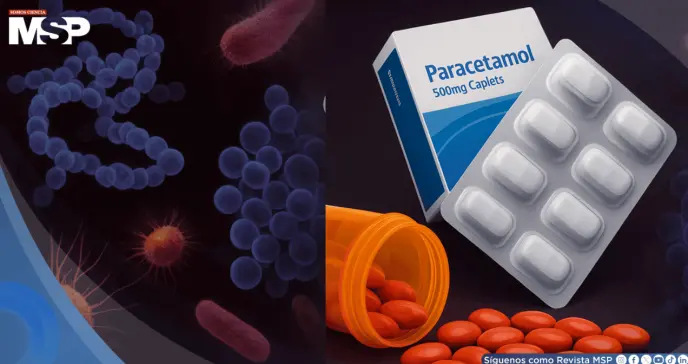 Ibuprofeno y paracetamol podrían favorecer que las bacterias se vuelvan resistentes a los antibióticos