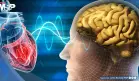 Trastornos mentales duplicarían el riesgo de enfermedades cardíacas y mortalidad cardiovascular