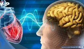 Trastornos mentales duplicarían el riesgo de enfermedades cardíacas y mortalidad cardiovascular
