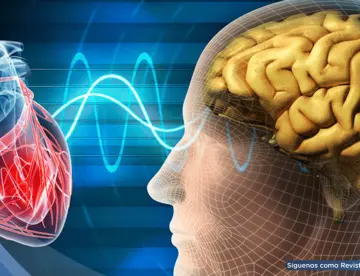 Trastornos mentales duplicarían el riesgo de enfermedades cardíacas y mortalidad cardiovascular