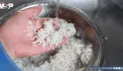 ¿Hay que lavar el arroz antes de cocinarlo? Esto recomienda la ciencia