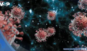 Desarrollan primer antiviral de amplio espectro del mundo que podría combatir futuras pandemias