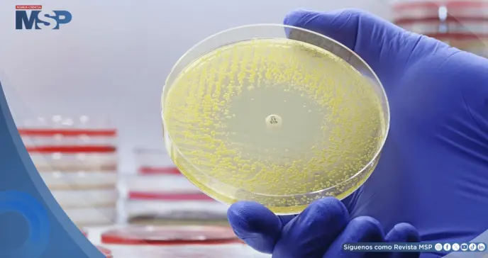 Inteligencia artificial generativa abre camino a nuevos antibióticos contra la resistencia bacteriana