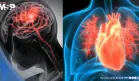 Científicos revelan por qué mujeres aparentemente sanas enfrentan alto riesgo de infarto y ACV
