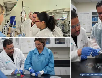 Investigadores de la Escuela Dental de PHSU crean pasta dental con compuestos bioactivos del sargazo