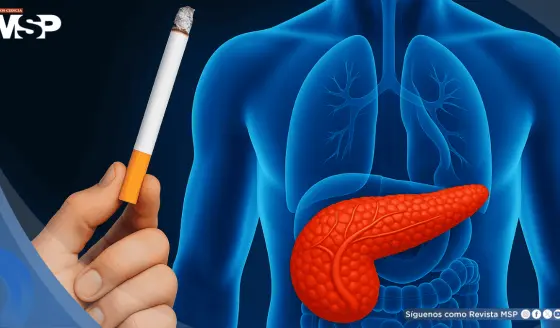Toxinas del cigarrillo podrían acelerar el cáncer de páncreas, según estudio
