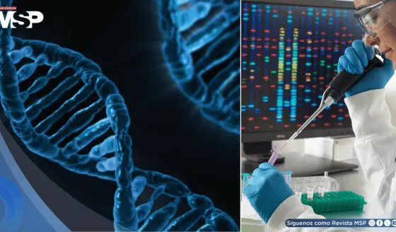 Nuevo algoritmo analiza el ADN y revela cuándo inició el cáncer, crecimiento y necesidad de tratamiento