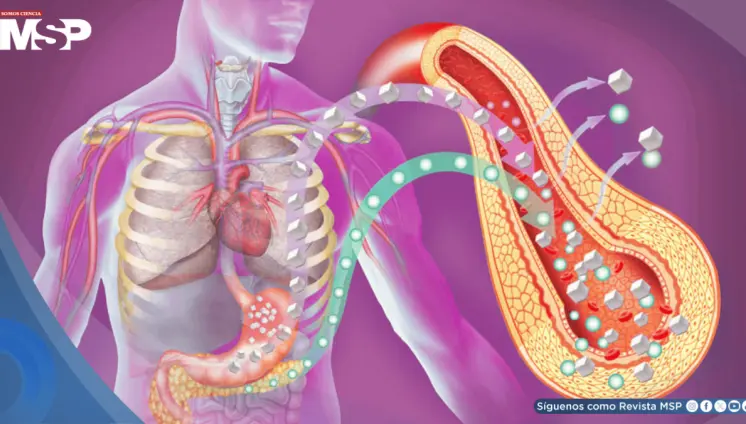 Diabetes tipo 2 altera la estructura del corazón y aumenta el riesgo de insuficiencia cardíaca: Estudio