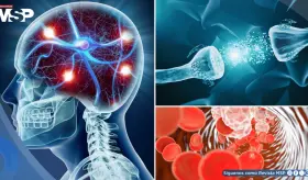 La inflamación crónica afectaría al cerebro con deterioro cognitivo, riesgo de demencia y depresión