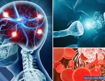 La inflamación crónica afectaría al cerebro con deterioro cognitivo, riesgo de demencia y depresión