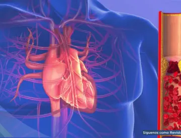 Valores saludables de la presión arterial: Aprende a medirla correctamente y prevenir complicaciones