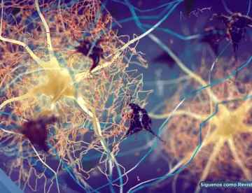 Hipótesis infecciosa del alzhéimer: El papel del virus del herpes y otros patógenos