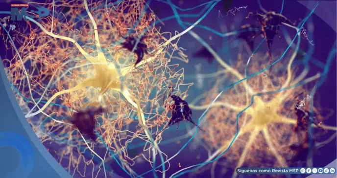 Hipótesis infecciosa del alzhéimer: El papel del virus del herpes y otros patógenos