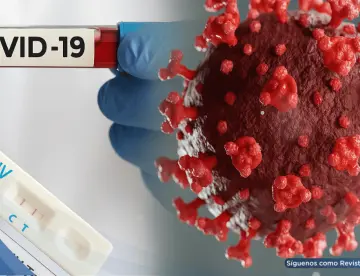 Hombre con VIH mantuvo infección activa por coronavirus durante 750 días, el caso más prolongado 