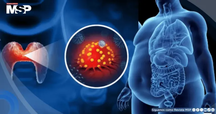Inflamación crónica por obesidad y diabetes aceleraría el cáncer de tiroides y reduciría eficacia de trat
