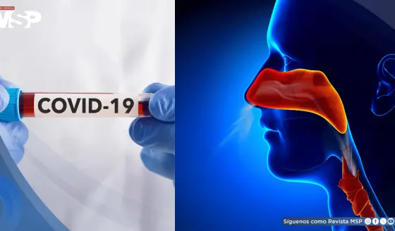 La pérdida de olfato tras COVID-19 es más común y persistente de lo que se percibe: estudio