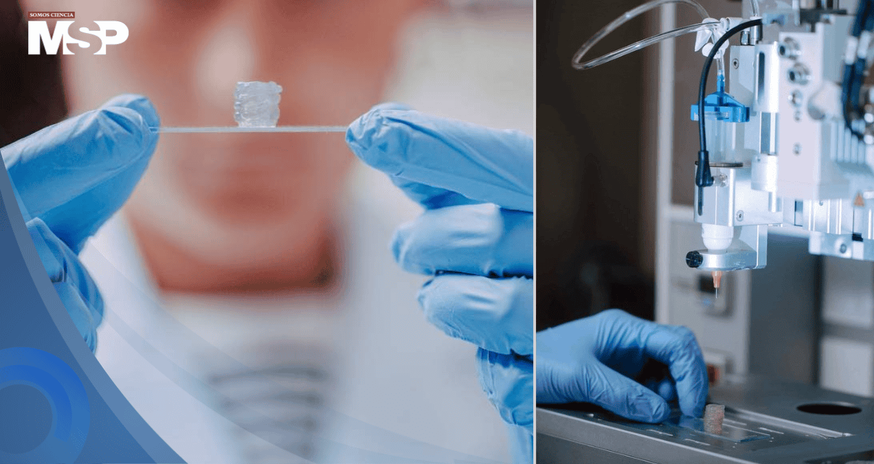 Científicos logran imprimir vasos sanguíneos en 3D que imitan la circulación real