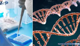 Así están cambiando los ensayos clínicos contra el cáncer:Menos pruebas en pacientes y resultados rápidos